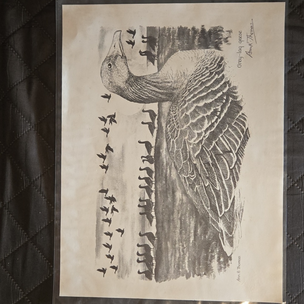 Ann R. Thomas Signed Print Grey-Lag Geese